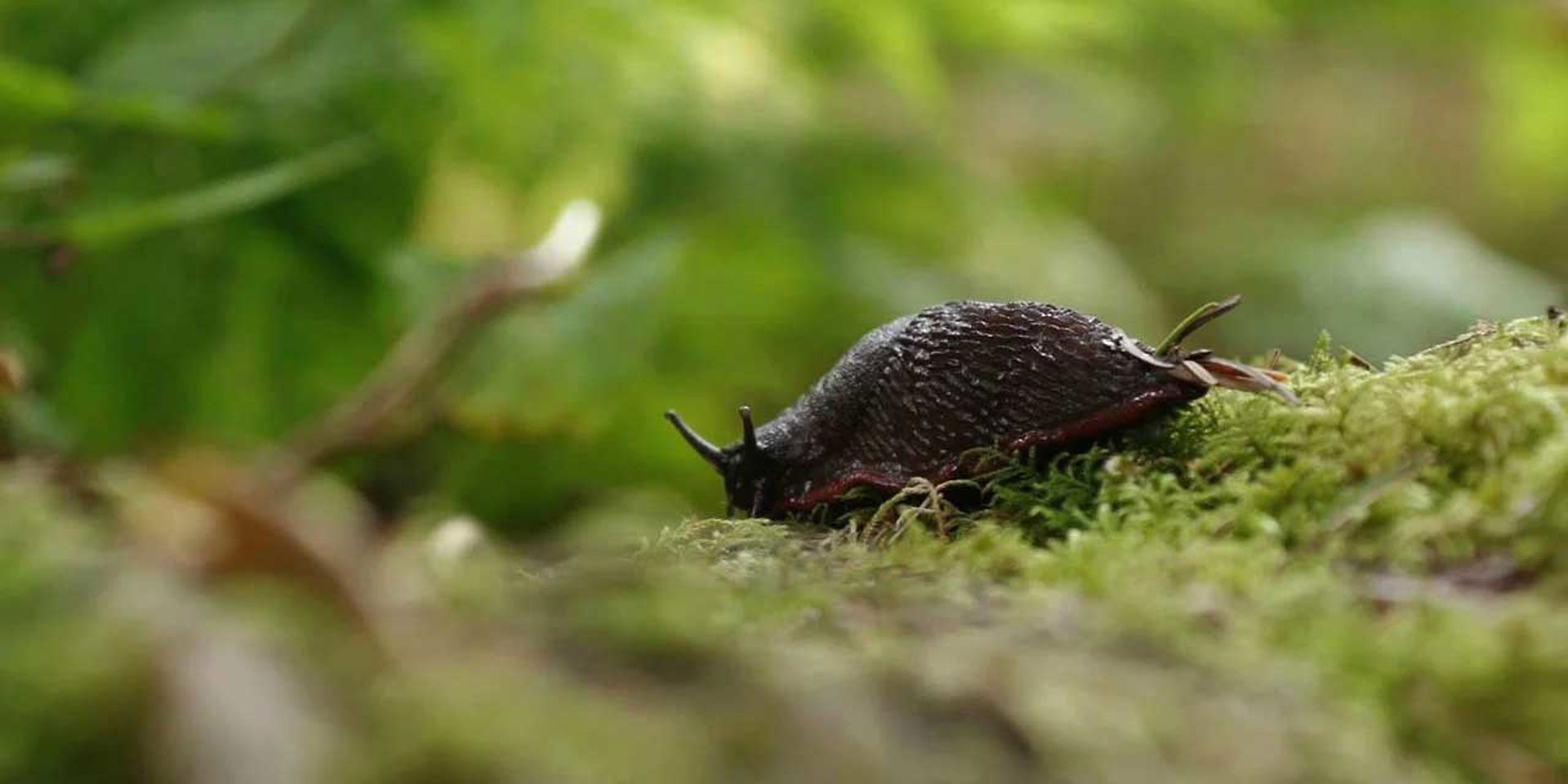 Visit Ketchikan Alaska Fly Out Fishing from Ketchikan